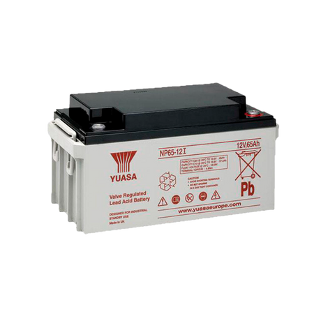 BATT-NP65-12I