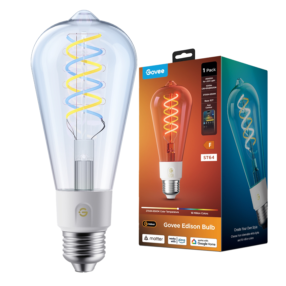 Lampadina intelligente Edison ST64 E27 Govee - Wi-Fi 2.4 GHz + Bluetooth - Colore segmentato + Bianco caldo/freddo