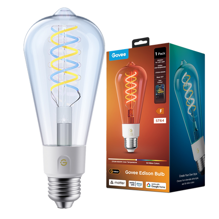Lampadina intelligente Edison ST64 E27 Govee - Wi-Fi 2.4 GHz + Bluetooth - Colore segmentato + Bianco caldo/freddo