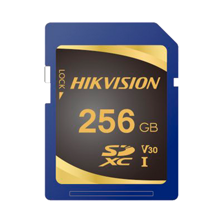 HS-SD-P10STD-256G