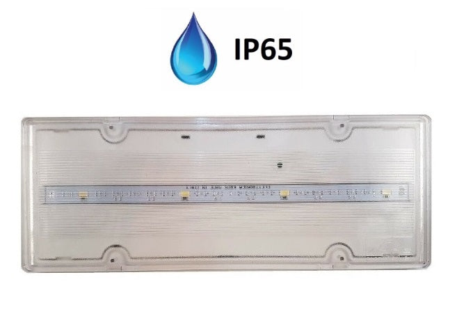 Lampada di emergenza a LED 11 W 150 lumen SE IP65
