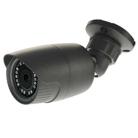 NV-19