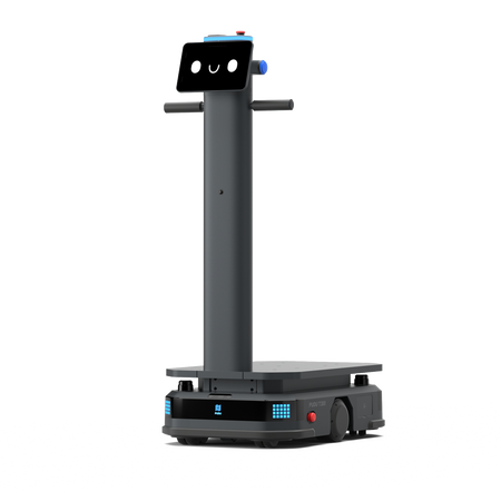 PUDU-T300