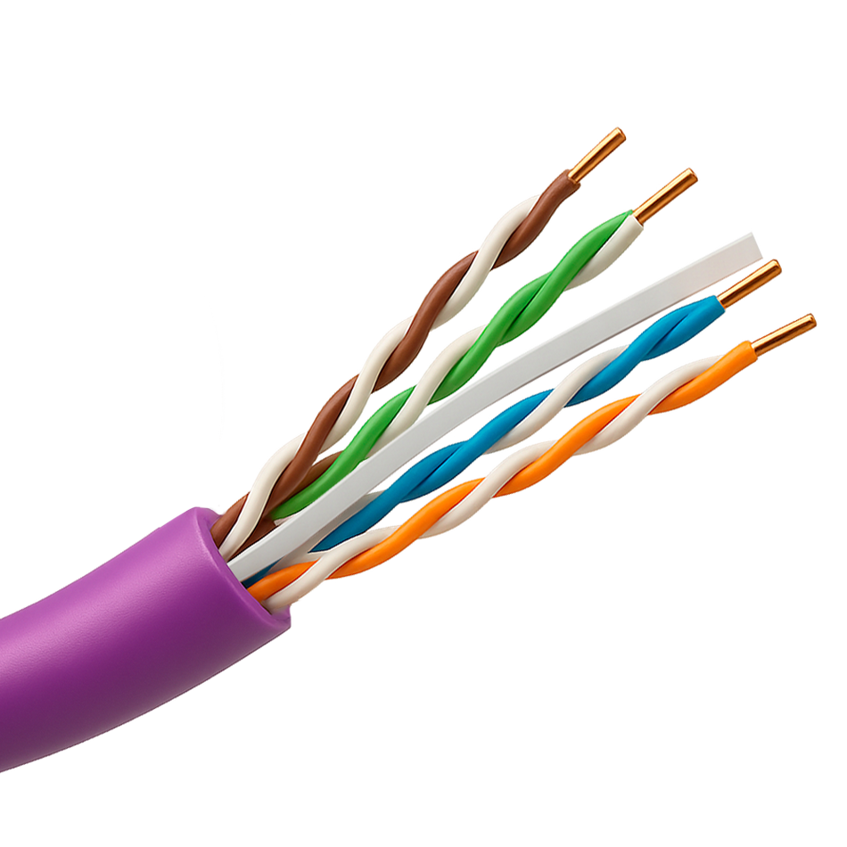 UTP6-305-BC-H-Dca-PURPLE