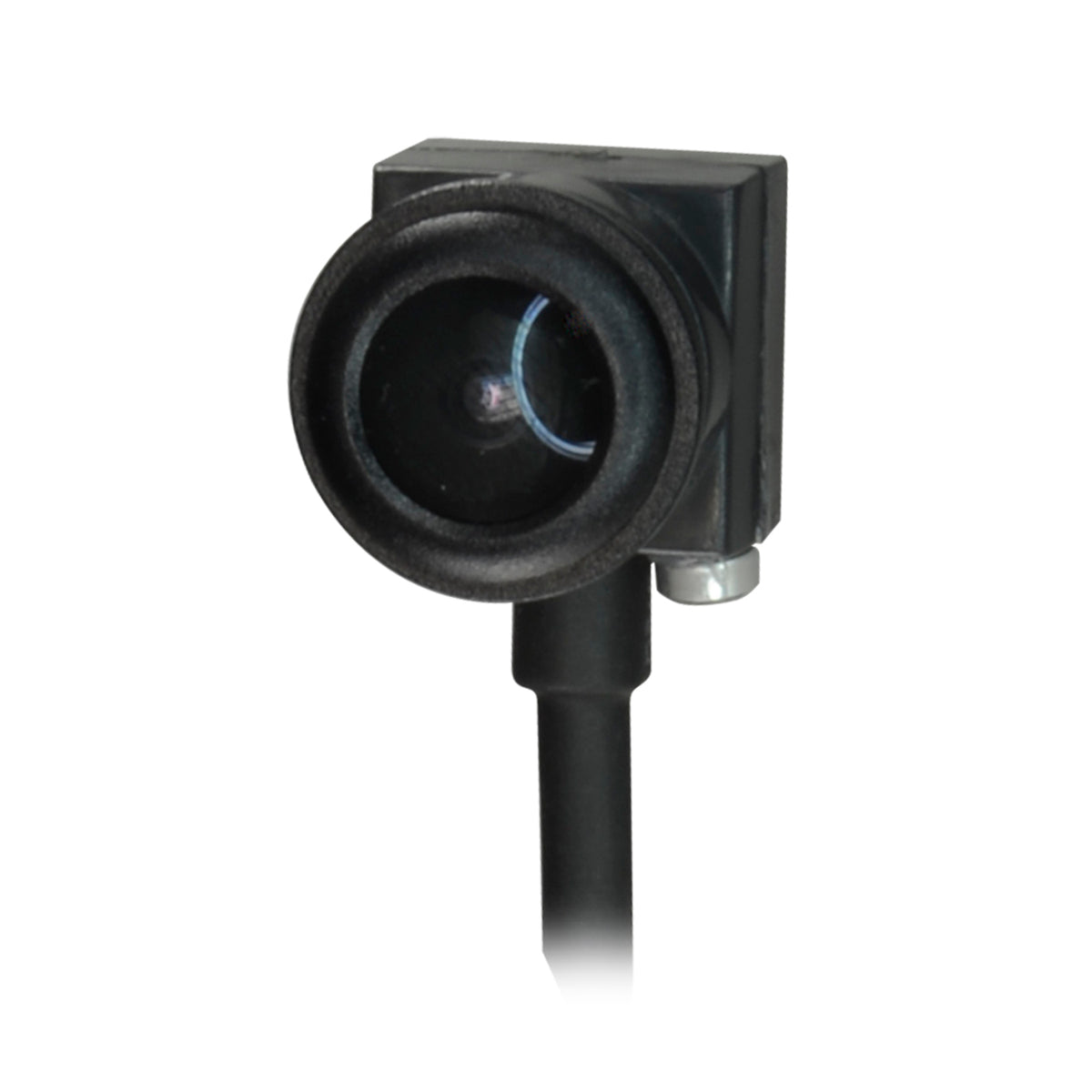 MC304D