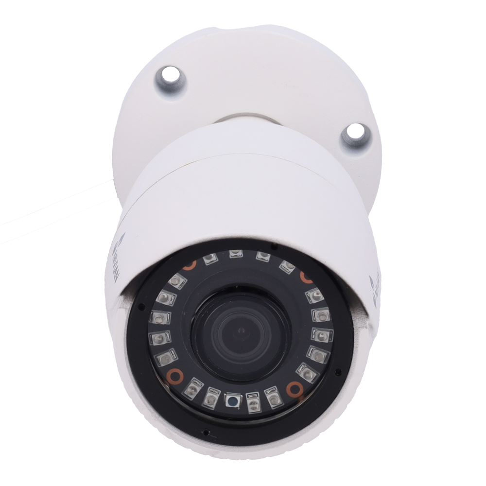 NV-19B