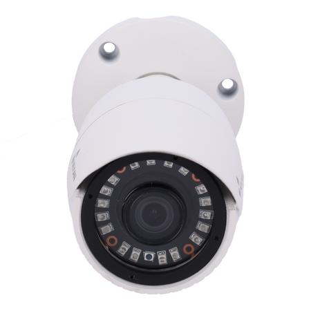 NV-19B