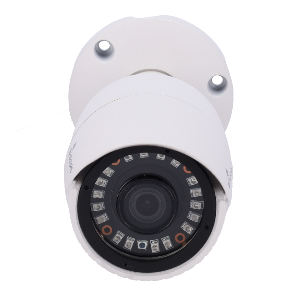 NV-19B