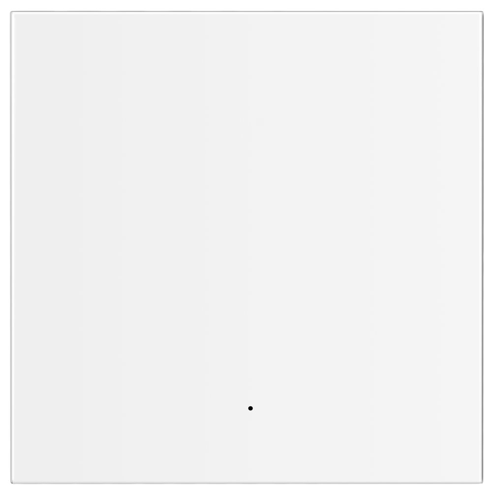 NVS-FLATWALLSWITCH-101-WRB
