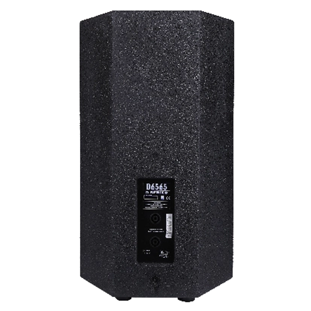 DSPPA-D6565