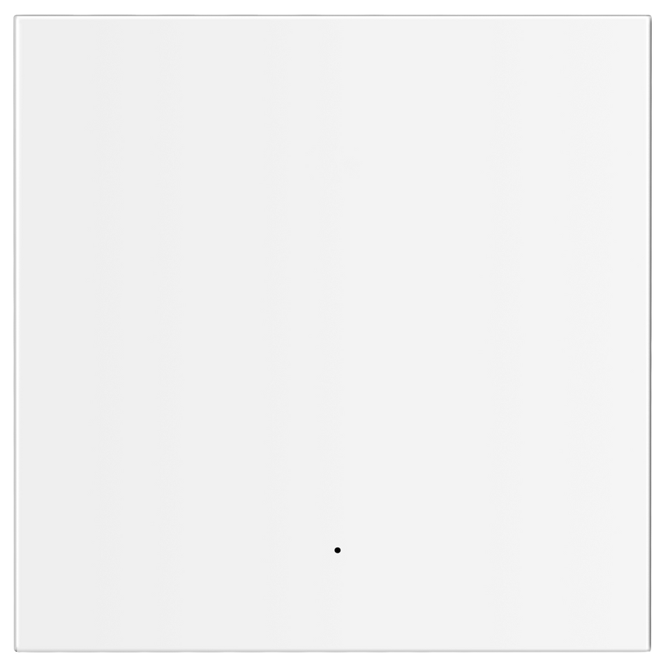 NVS-FLATWALLSWITCH-101-WRB
