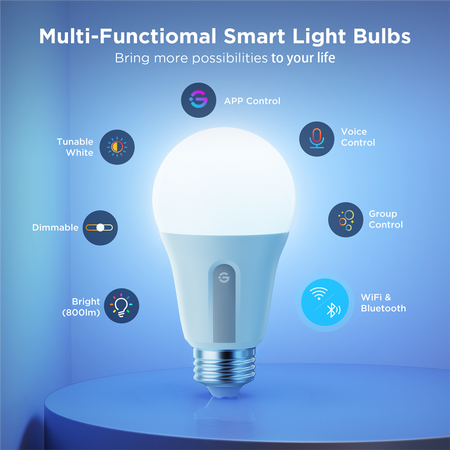 GV-BULB-B8015-E27-CCT-2P