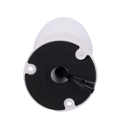 NV-19B