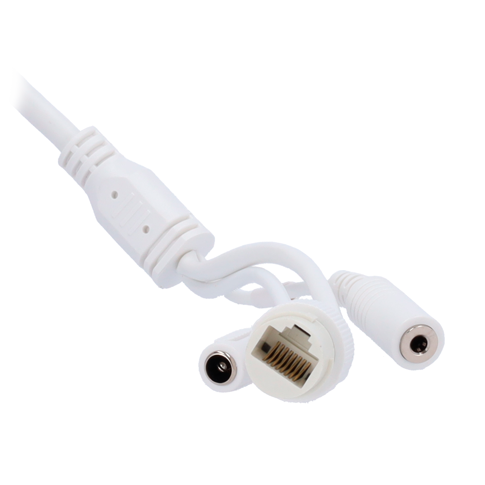 Safire Smart - Telecamera Dome IP gamma E1 Intelligenza Artificiale - Risoluzione 4 Megapixel (2566x1440)